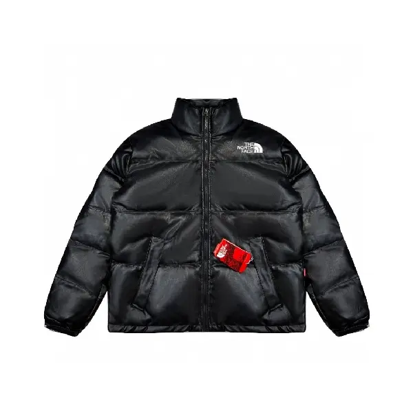 Replica The North Face TNF 2022 new down jacket TNF1021024