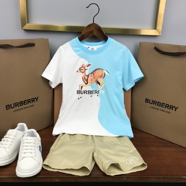 Replica Burberry 2022 New Children T-shirt and Shorts Set