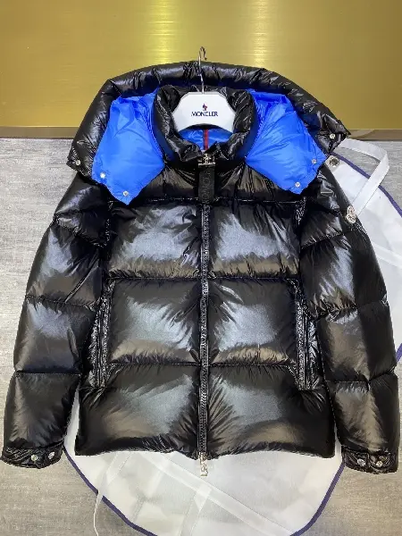 Replica Moncler 2022 new top quality down jacket TS22927166