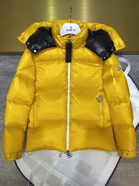 Replica Moncler 2022 new top quality down jacket TS22927168