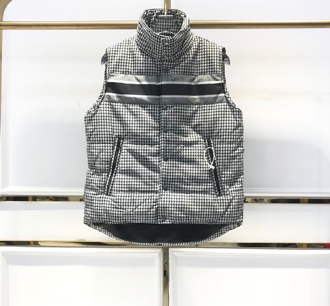 Replica Dior Down Jacket Oblique in Gray