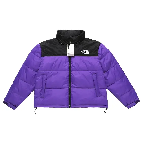 Replica The North Face TNF 2022 new down jacket TNF1021035