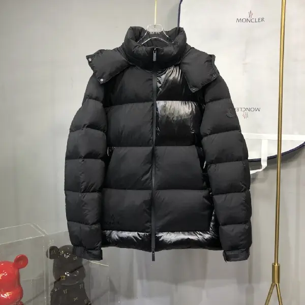 Replica Moncler Pallardy down jacket TS22927120