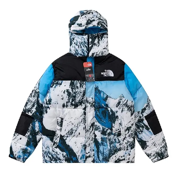 Replica The North Face TNF 2022 new down jacket TNF1021013