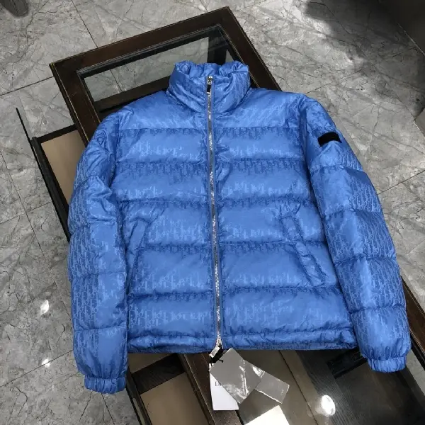 Replica Dior 2022 new down jacket in blue