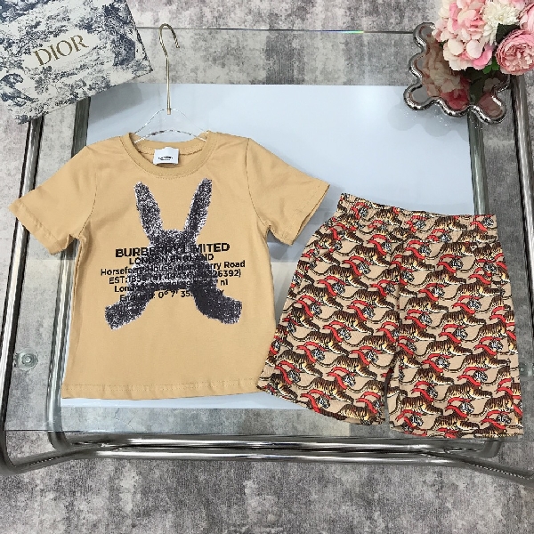 Replica Burberry 2022 New Children T-Shirt and Shorts Set