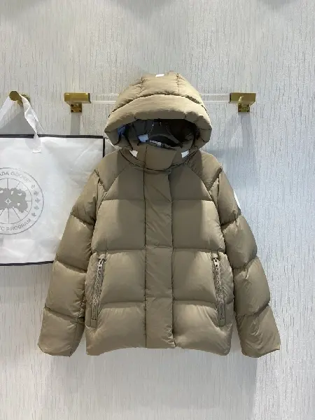 Replica Moncler Down Jacket in Brown