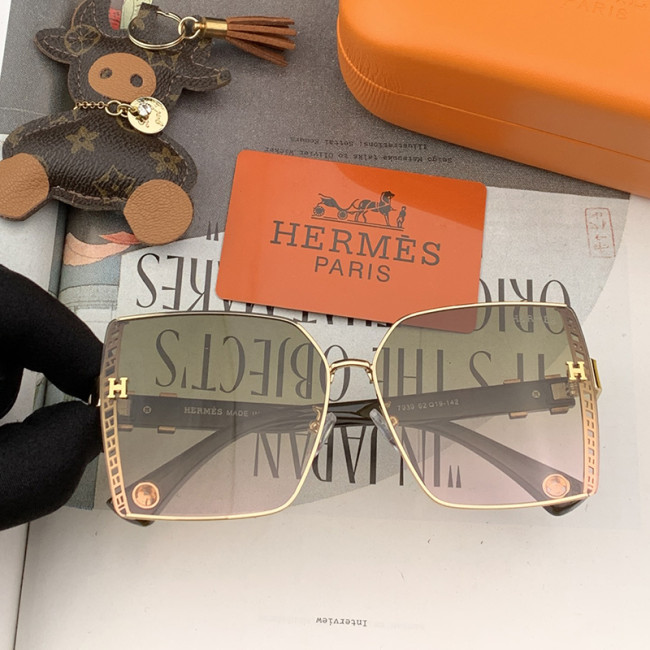 Hermes Womens Sunglasses with Original Box H3979 Whatapp