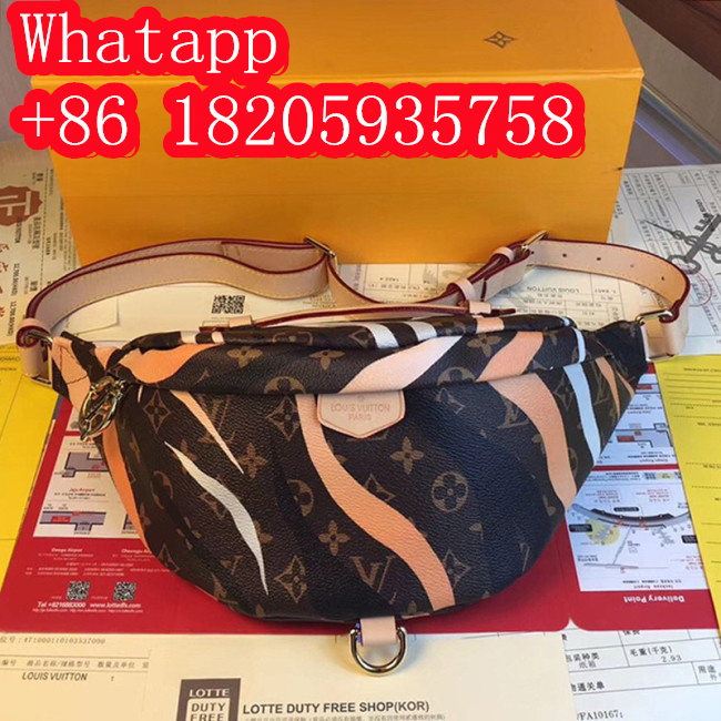 Louis Vuitton Womens Bag Whatapp