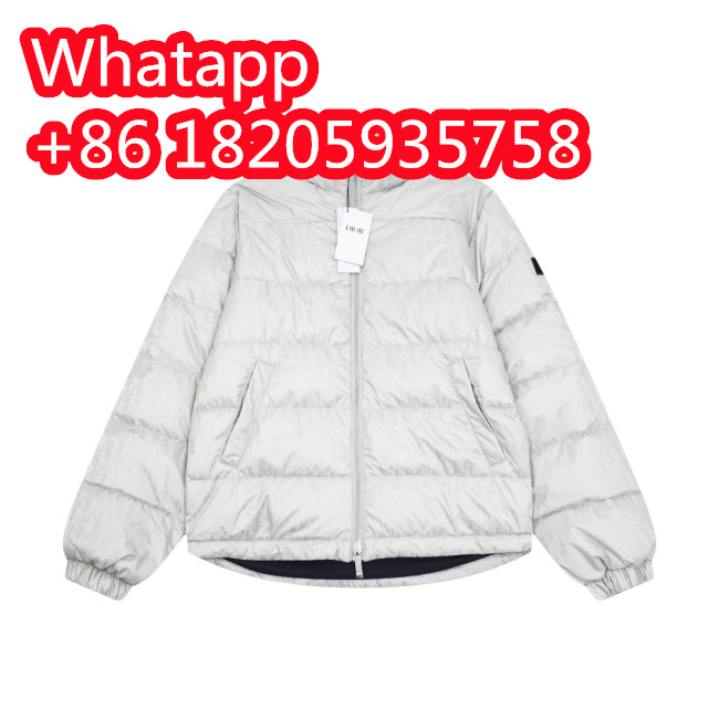 Dior Design Mens Womens Winter Windprood Down Jackets Keep Warm Whatapp