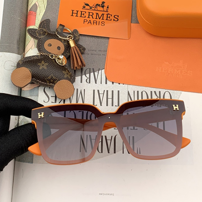 Hermes Womens Sunglasses with Original Box H3931 Whatapp