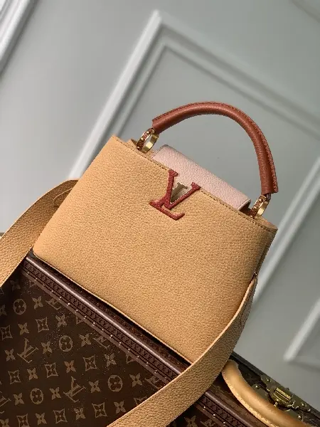 Replica Louis Vuitton 2022 new fashion Handbags