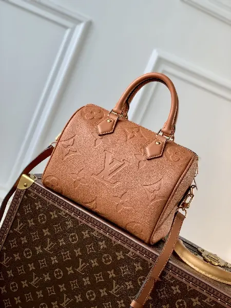 Replica Louis Vuitton 2022 new fashion Handbags