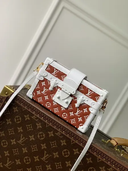 Replica Louis Vuitton 2022 new small bags