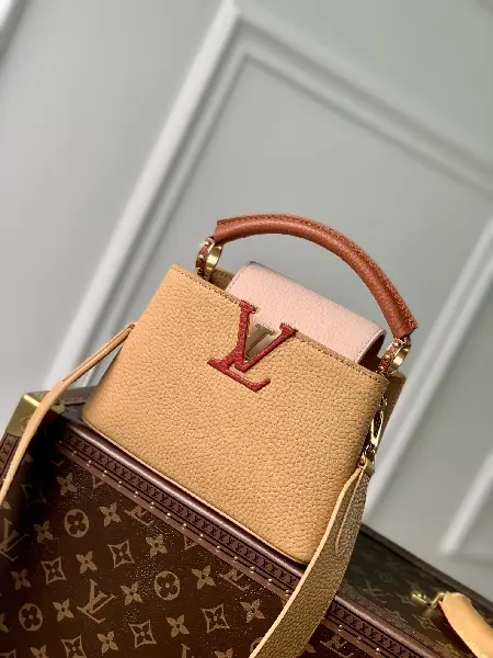 Replica Louis Vuitton 2022 new fashion Handbags