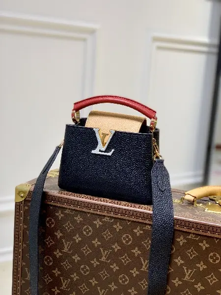 Replica Louis Vuitton 2022 new fashion Small Bags