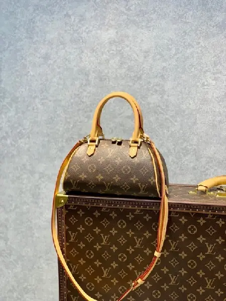 Replica Louis Vuitton 2022 new sling bag