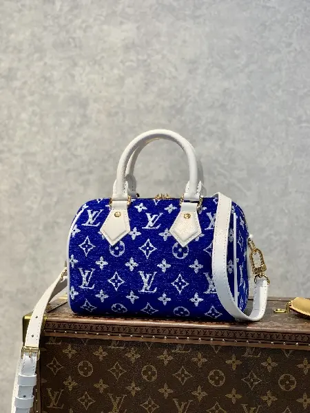 Replica Louis Vuitton 2022 new fashion Handbags